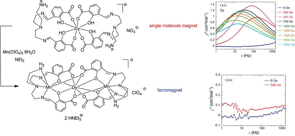 Graphical abstract for From a Dy(III) Single Molecule Magnet (SMM) to a Ferromagnetic [Mn(II)Dy(III)Mn(II)] Trinuclear Complex