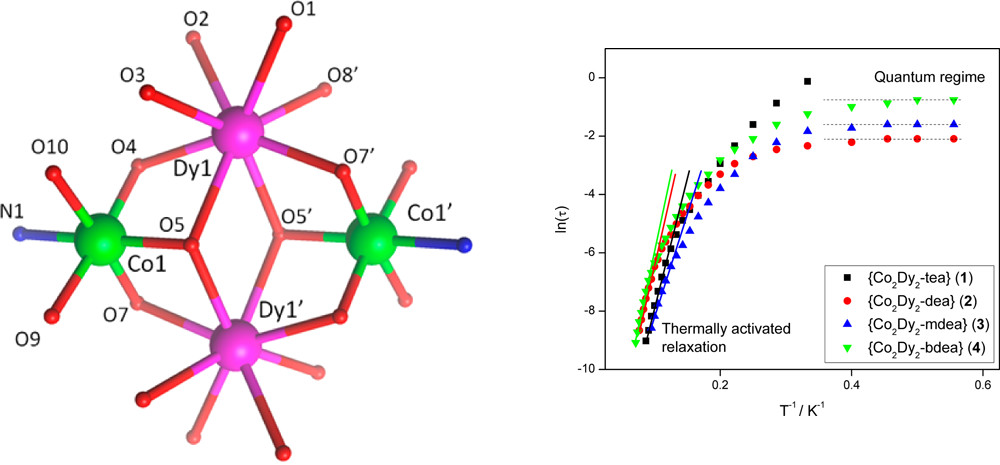 Graphical abstract for Single-Molecule Magnetism in a Family of {Co<sup>III</sup><sub>2</sub>Dy<sup>III</sup><sub>2</sub>} Butterfly Complexes: Effects of Ligand Replacement on the Dynamics of Magnetic Relaxation