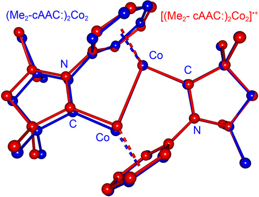 Graphical abstract for Stabilization of a Cobalt–Cobalt Bond by Two Cyclic Alkyl Amino Carbenes