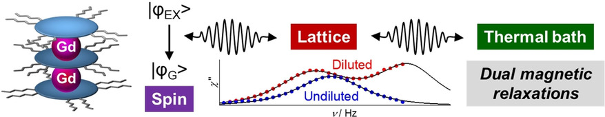 Graphical abstract for Coexistence of Spin–Lattice Relaxation and Phonon-Bottleneck Processes in Gd<sup>III</sup> –Phthlocyaninato Triple-Decker Complexes under Highly Diluted Conditions
