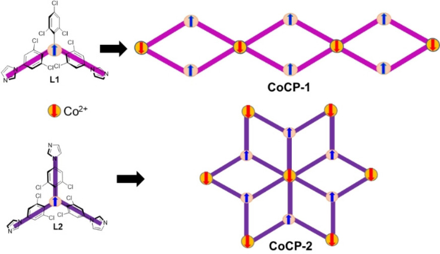 Graphical abstract for Stable Triarylmethyl Radicals and Cobalt(II) Ions Based 1D/2D Coordination Polymers