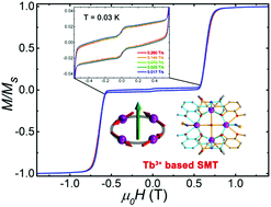 Graphical abstract for Toroidal magnetic moments in Tb<sub>4</sub> squares